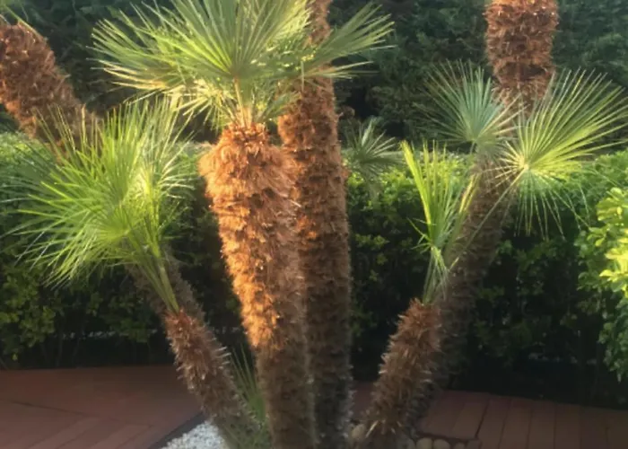 T2 150m From The Daire